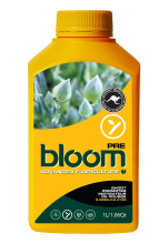 bloom pre