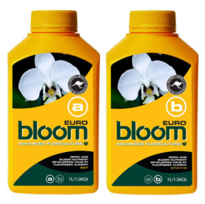 bloom euro a & b