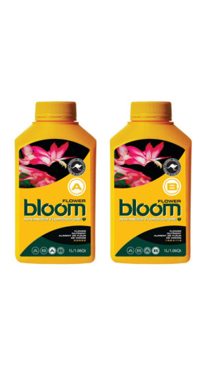 bloom flower a & b