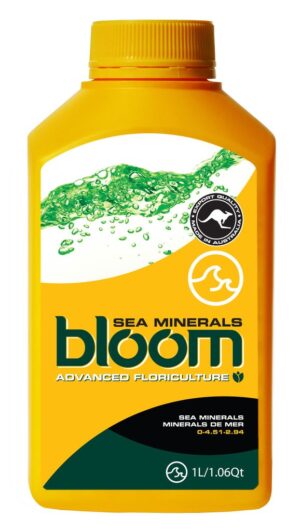 bloom sea minerals