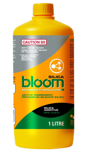 bloom silica