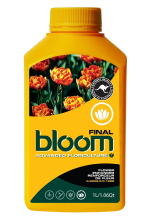 bloom final