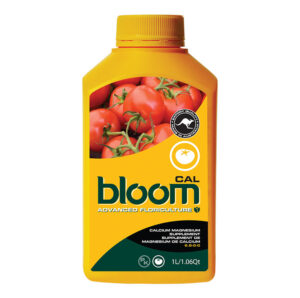 bloom calmag