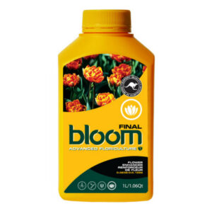 bloom final