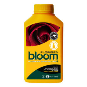 bloom florigen