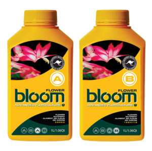 bloom flower a & b