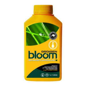 bloom florigen