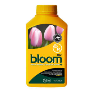 bloom pk