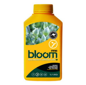 bloom pre