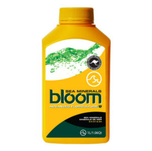 bloom sea minerals