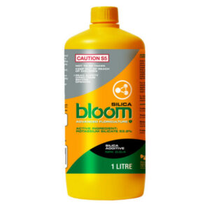 bloom silica