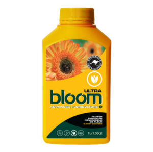 bloom ultra