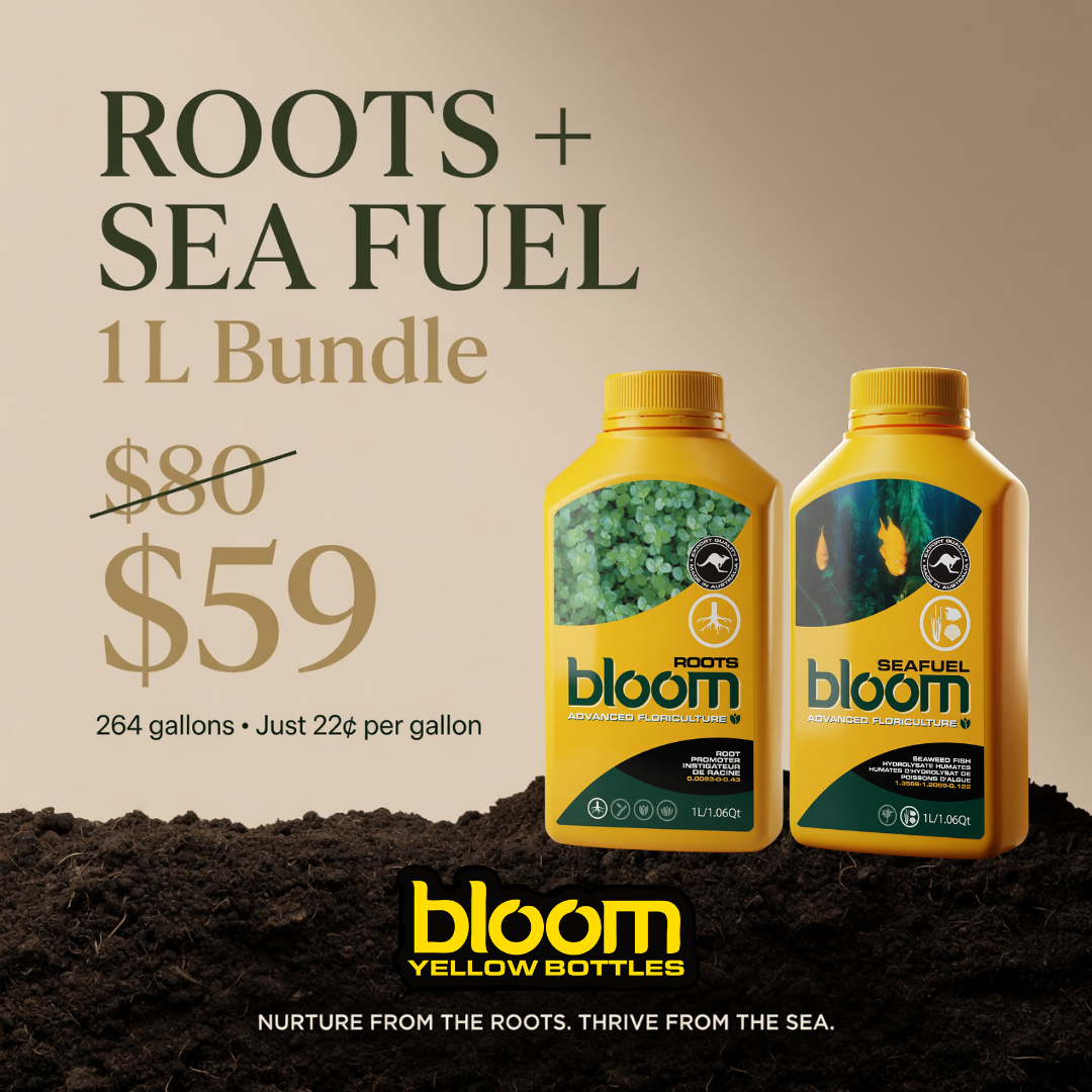 ROOTS + SEAFUEL 1L BUNDLE