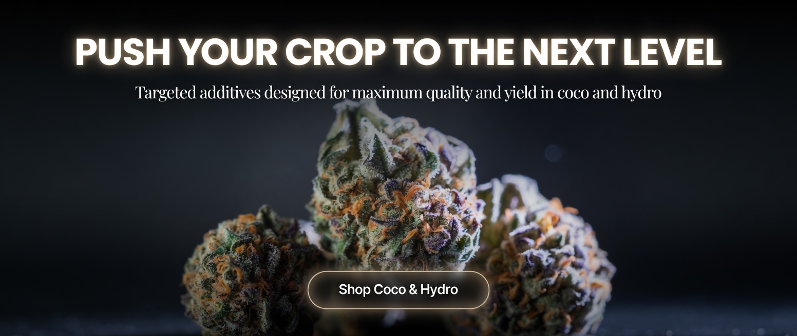 Premium additives and boosters for coco coir and hydroponic cannabis grows