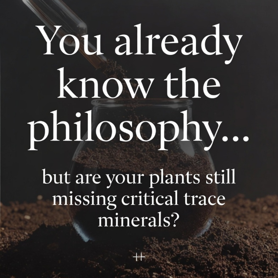 Living Soil Trace Minerals - Is Your Soil Missing Critical Elements? Living soil grower checking if their plants are missing essential trace minerals and micronutrients