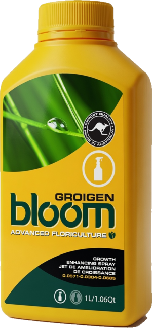 byb bottle groigen