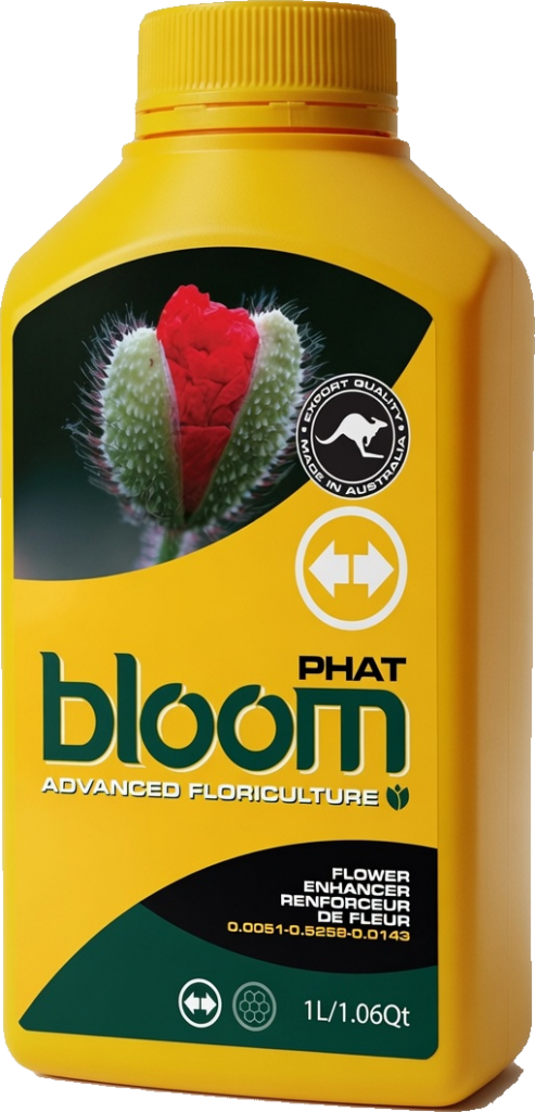 byb bottle phat