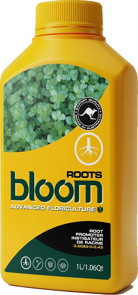 Roots