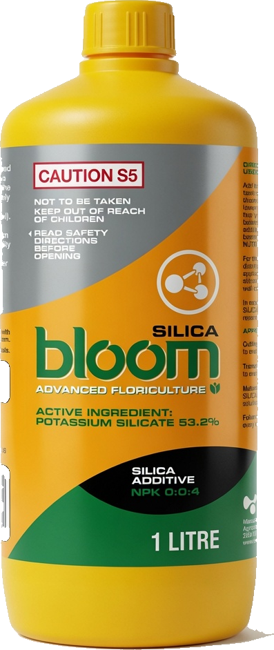 Silica