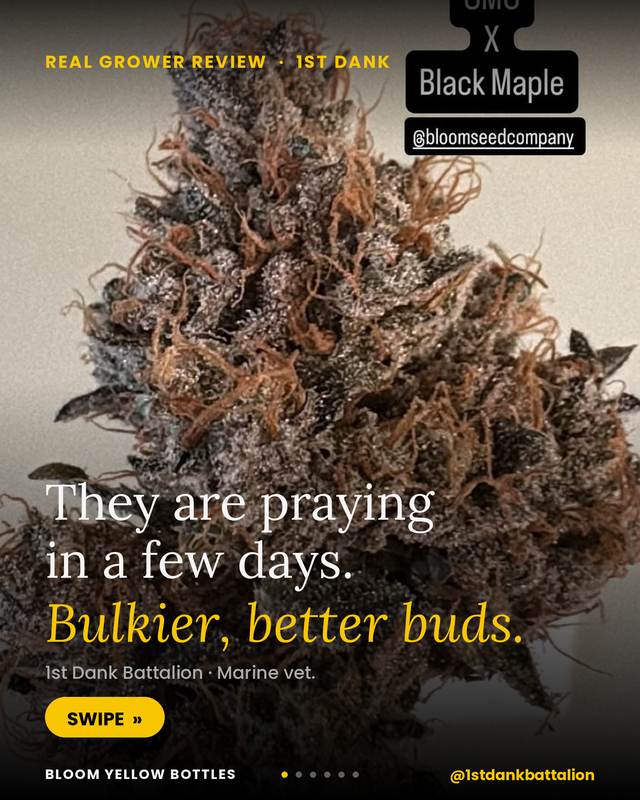 Grow photo shared by 1st Dank Battalion, verified Bloom grower