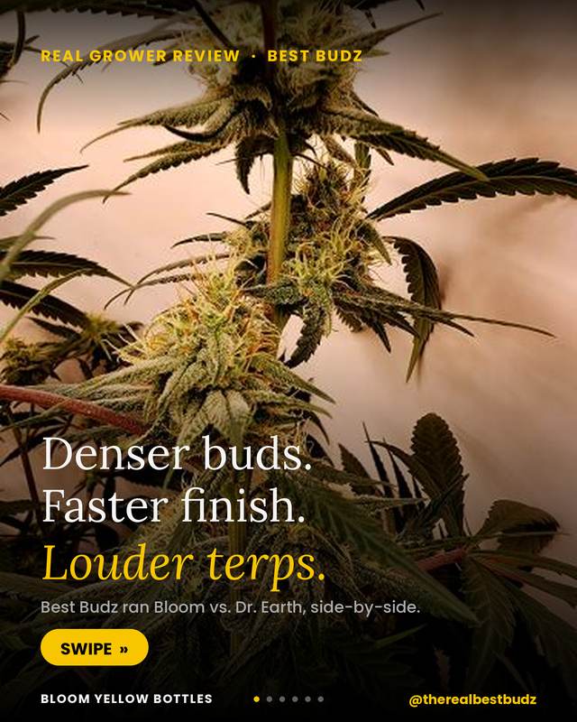 Grow photo shared by Best Budz, verified Bloom grower