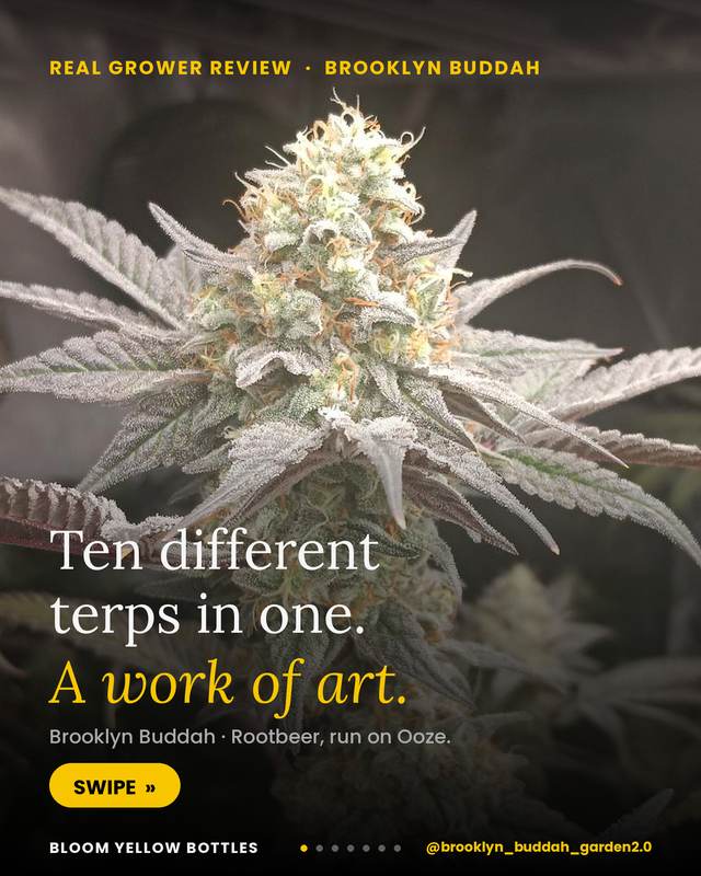 Grower photo from @brooklyn_buddah_garden2.0