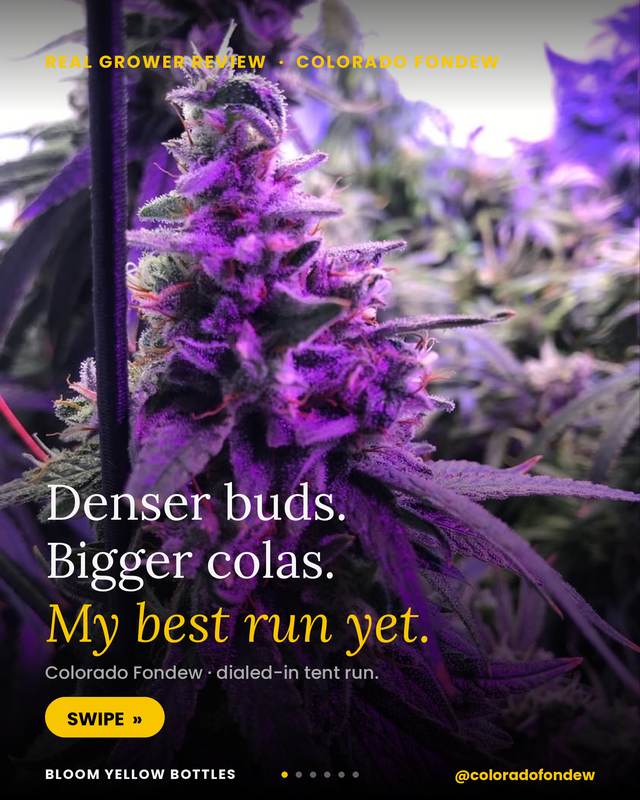 Grow photo shared by Colorado Fondew, verified Bloom grower
