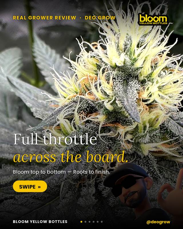 Grow photo shared by Deo Grow, verified Bloom grower