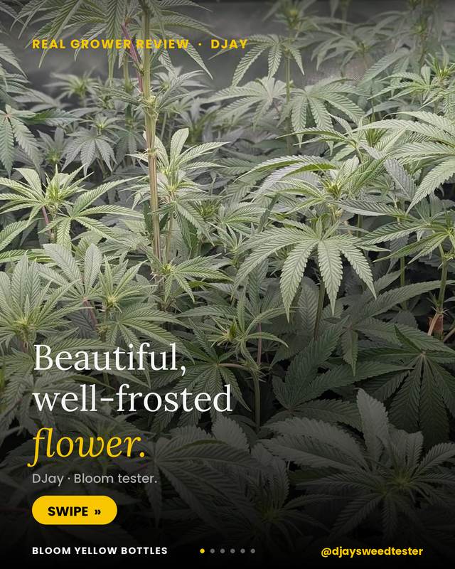 Grow photo shared by DJay, verified Bloom grower