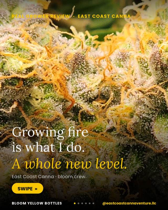 Grow photo shared by East Coast Canna Venture, verified Bloom grower