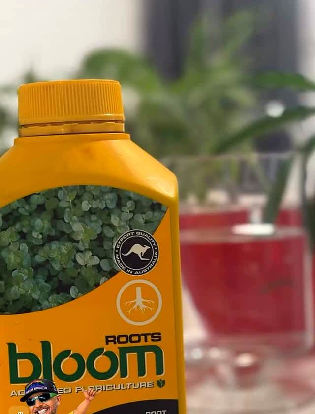 Grow photo shared by FemmeGrowtique, verified Bloom grower