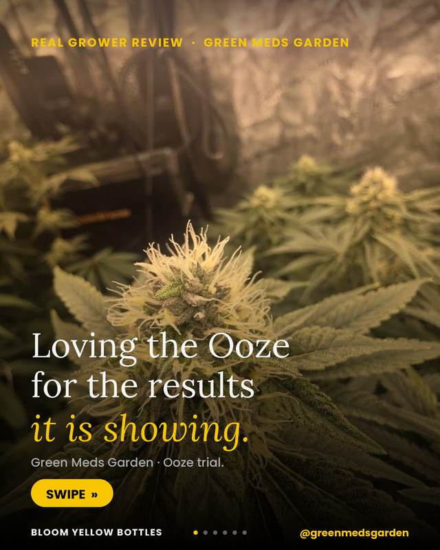 Grow photo shared by GreenMeds Garden, verified Bloom grower