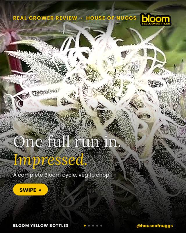 Grow photo shared by House of Nuggs, verified Bloom grower