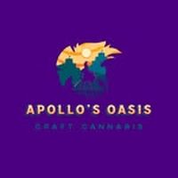 Apollo's Oasis profile photo