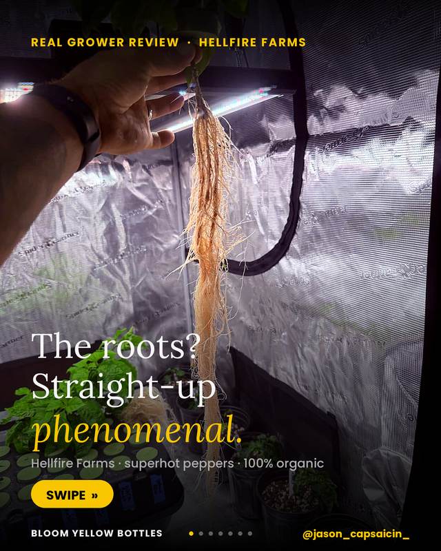 Grow photo shared by Jason — Hellfire Farms, verified Bloom grower