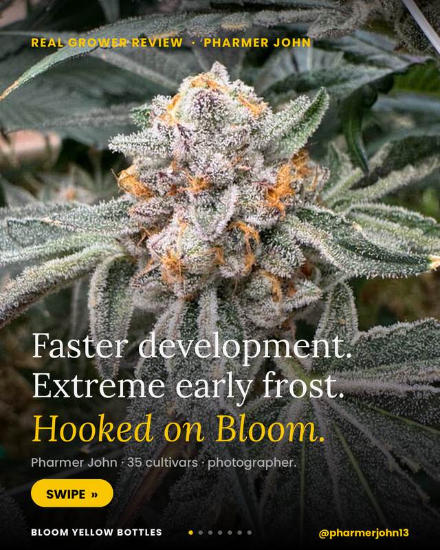 Grow photo shared by Pharmer John, verified Bloom grower