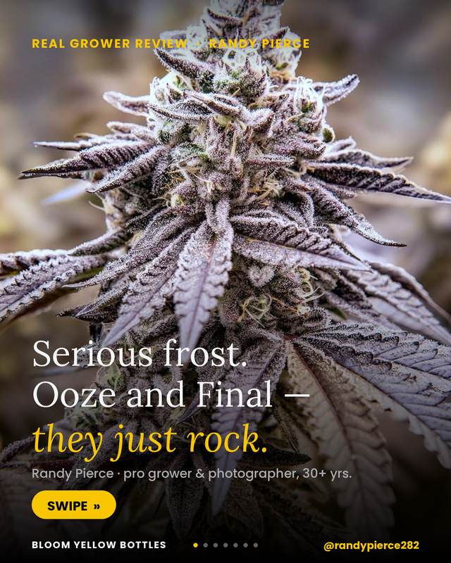 Grow photo shared by Randy Pierce, verified Bloom grower