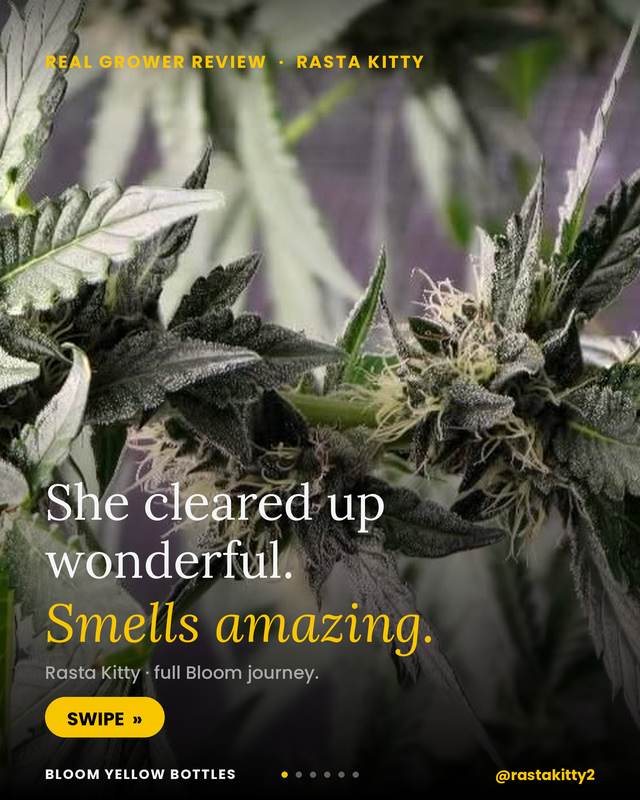 Grow photo shared by Rasta Kitty, verified Bloom grower