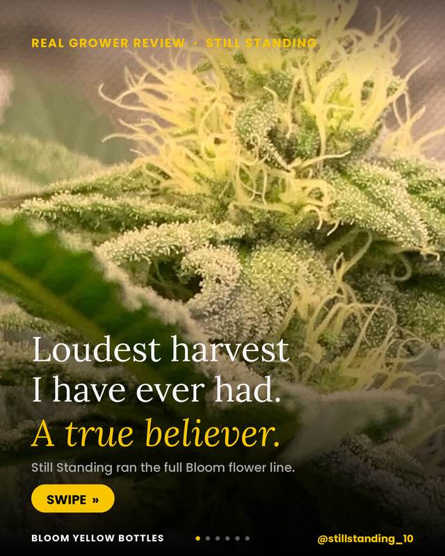 Grow photo shared by Tati — Still Standing, verified Bloom grower
