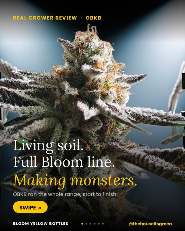 Grow photo shared by OBKB, verified Bloom grower
