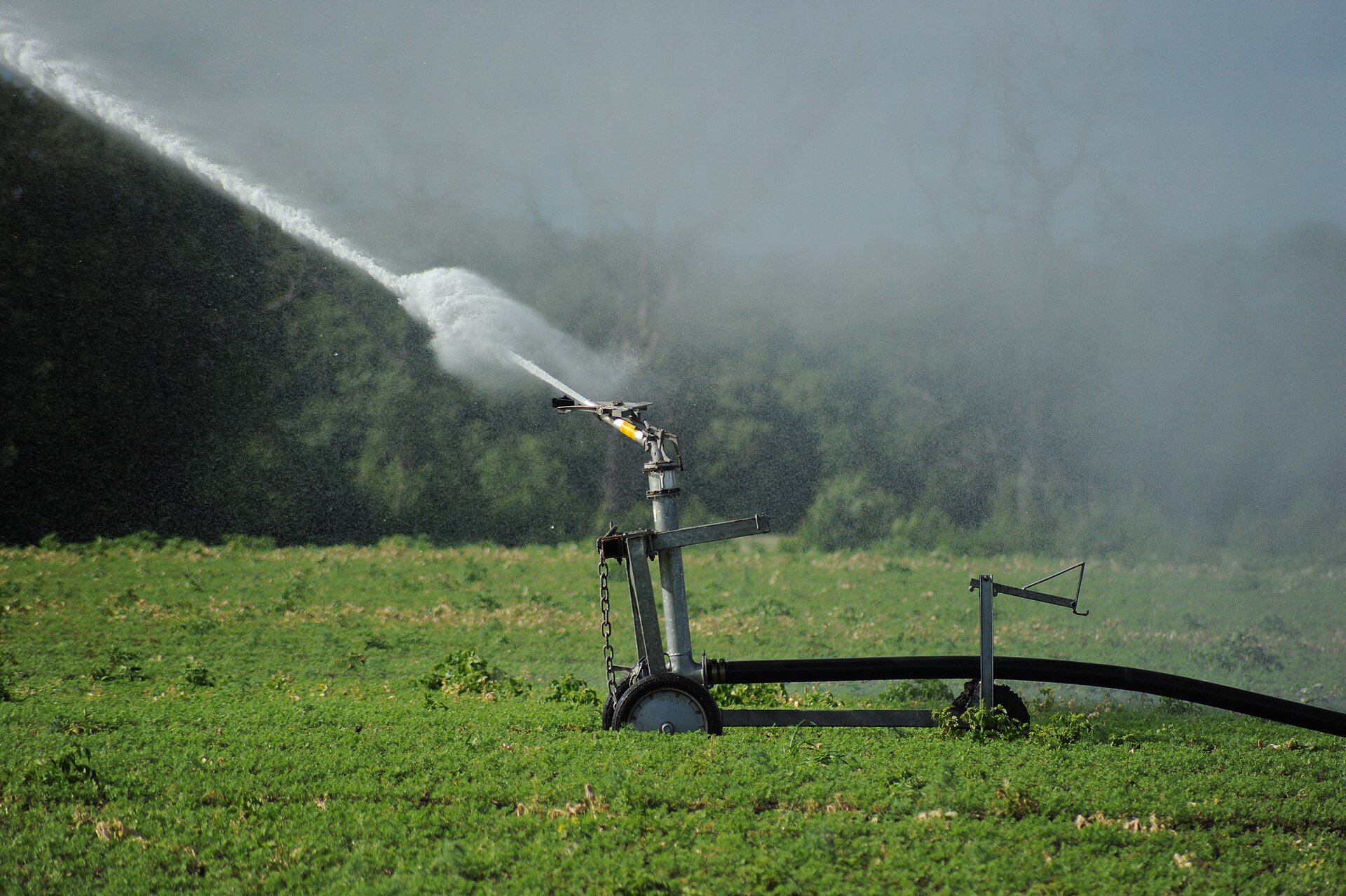 Field spray application on a row crop