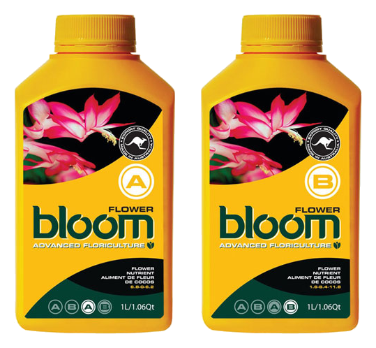 Flower A and B