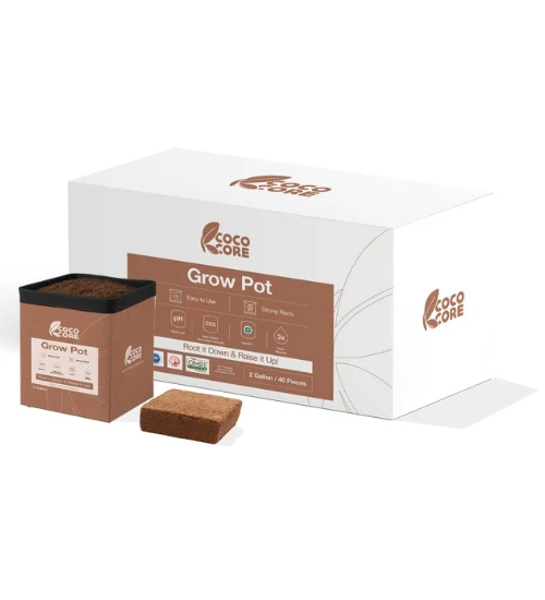 Compressed coco grow pot, 2 gallon