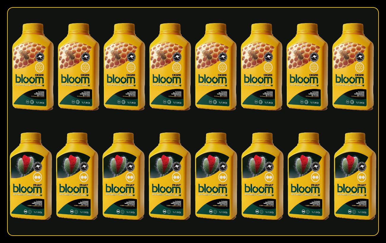 8 bottles of Bloom OOZE 1L on top, 8 bottles of Bloom PHAT 1L below — the full 16-bottle case offer